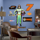 Danica Patrick 2010 Driver
