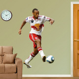 Thierry Henry 2010