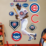 Andre Dawson Cubs