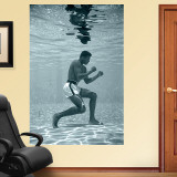 Buy Ali Underwater Mural at AllPosters.com