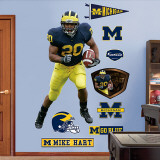 Mike Hart Michigan