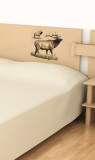 Buy Elk at AllPosters.com