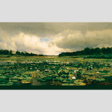 Buy The Lily Pond at AllPosters.com