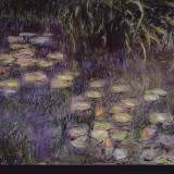Buy Waterlilies: Morning at AllPosters.com