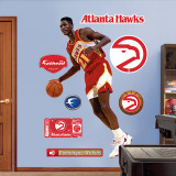 Dominique Wilkins