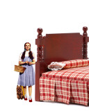 Buy Dorothy & Toto at AllPosters.com