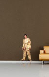 Buy Elvis Presley Gold Lame at AllPosters.com