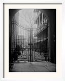 New Orleans' French Quarter is Famous for its Intricate Ironwork Gates and Balconies