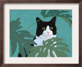 Black and White Cat with Green Eyes