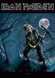 Iron Maiden - Ben Bregg Fabric Poster