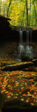 Buy Waterfall in a Forest, Blue Hen Falls, Cuyahoga Valley National Park, Ohio at AllPosters.com