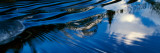 Buy Sky and Trees Reflected in Rippling Stream, New York at AllPosters.com
