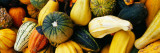Buy Variety of Gourds, Close Up at AllPosters.com
