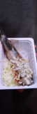 Buy View of a Man Holding a Tray of Raw Herring With Onions, Amsterdam at AllPosters.com