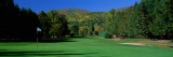 Golf Course, Fairlee, VT Wall Decal