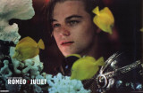William Shakespeare's Romeo & Juliet