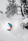 Snowboarder-Under Tree