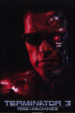 Terminator 3: Rise of the Machines