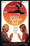 Buy The Next Karate Kid at AllPosters.com