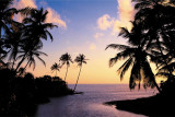 Buy Hikkaduwa, Sri Lanka (Beach, Sunset) Art Poster Print at AllPosters.com