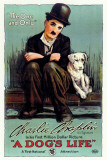 Buy A Dog's Life at AllPosters.com