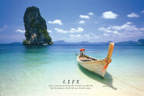 Tropical-Life