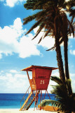 Buy Tropical-Orange Lifeguard Hut at AllPosters.com