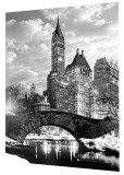 New York - Central Park - Snow
