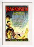 Frankenstein, Dwight Frye, John Boles, Mae Clarke, Boris Karloff, Edward Van Sloan, 1931