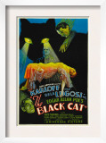 The Black Cat, Boris Karloff, Harry Cording, Jacqueline Wells, Bela Lugosi, 1934