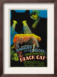 The Black Cat, Boris Karloff, Harry Cording, Jacqueline Wells, Bela Lugosi, 1934