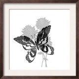 Greyscale Print of Butterfly on Flowers