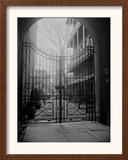 New Orleans' French Quarter is Famous for its Intricate Ironwork Gates and Balconies