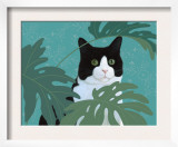Black and White Cat with Green Eyes