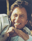 Bill Bixby - The Incredible Hulk
