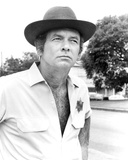 Buy David Janssen - Moon of the Wolf at AllPosters.com