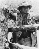 Buy Charles Bronson at AllPosters.com