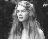 Buy Brooke Shields - The Blue Lagoon at AllPosters.com