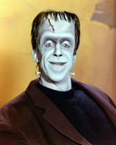 Fred Gwynne - The Munsters