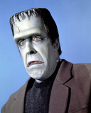 Fred Gwynne - The Munsters
