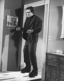 Fred Gwynne - The Munsters