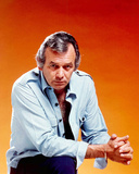 Buy David Janssen - Harry O at AllPosters.com