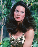 Cristina Raines - Flamingo Road