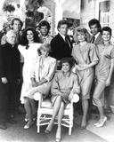 Falcon Crest