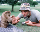 Buy Bill Murray at AllPosters.com