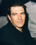 Buy Antonio Banderas from Allposters