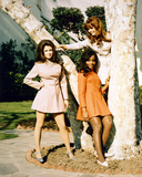 Beyond the Valley of the Dolls