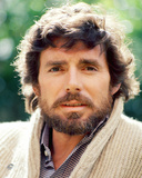 David Birney - Serpico