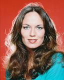 Buy Catherine Bach - The Dukes of Hazzard at AllPosters.com