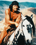 Buy Charles Bronson - Chato's Land at AllPosters.com